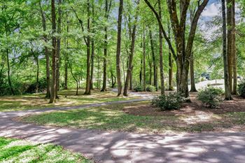 Lullwater at Bass | Naturally Wooded Paths